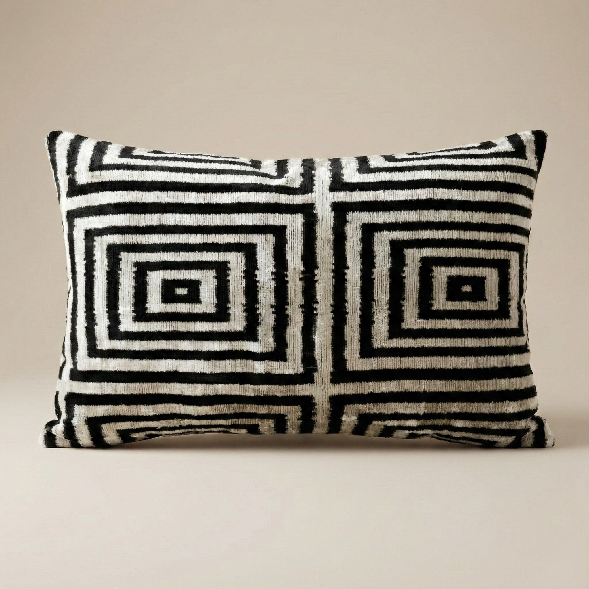 Black and White Velvet Pillow Cover 16x24