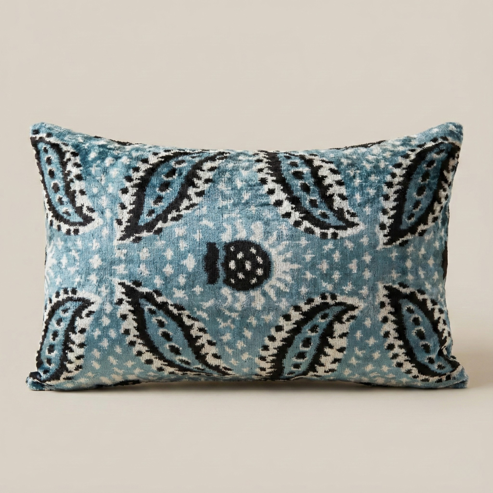 Light Blue and Black Velvet Pillow Cover 16x24
