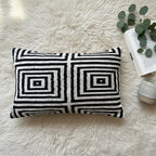 Black and White Velvet Pillow Cover 16x24